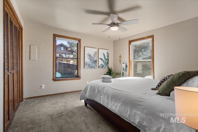 502 Lake Cascade Pkwy Unit 6, Cascade, ID 83611 - carpeted bedroom featuring multiple windows, baseboards, a ceiling fan, and electric panel