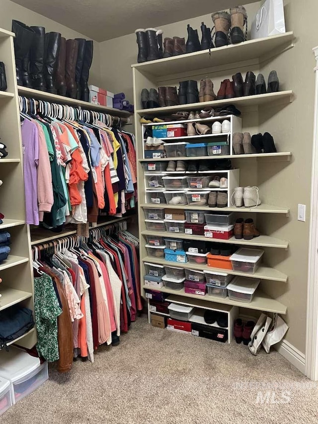 spacious closet featuring carpet floors