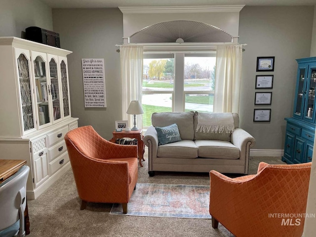 living room with carpet flooring and baseboards