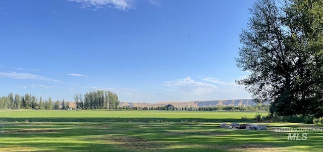 view of property's community featuring a mountain view, a rural view, and a yard