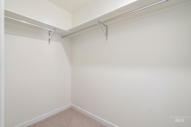 walk in closet featuring carpet