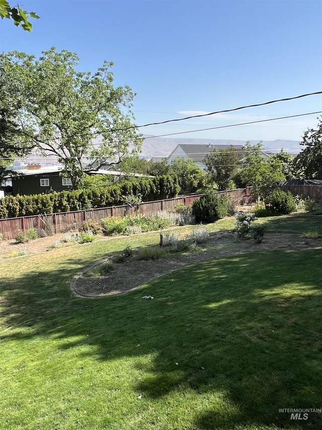 1605 Vineyard Dr, Lewiston, ID 83501 - view of yard