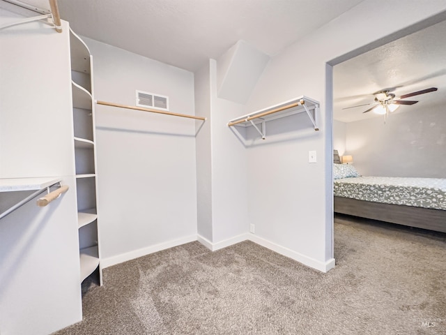 spacious closet with carpet flooring, a ceiling fan, and visible vents