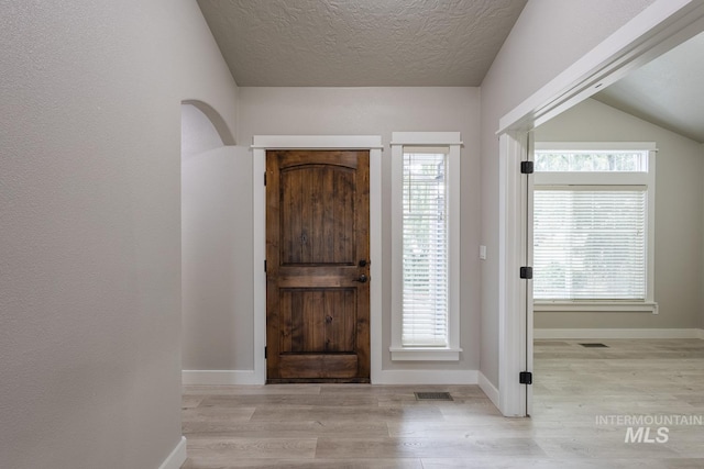 foyer featuring wood finished floors, a wealth of natural light, and a textured ceiling