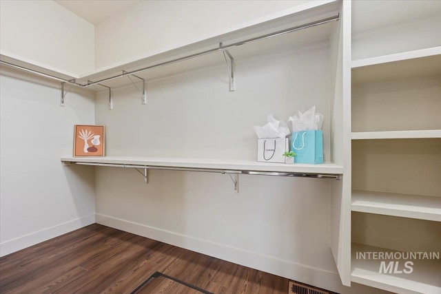 507 Falling Leaf Ln, Twin Falls, ID 83301 - spacious closet with dark wood-style flooring