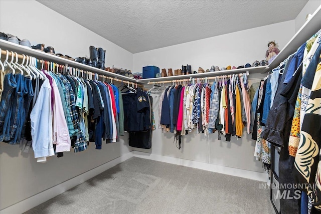 walk in closet featuring carpet floors