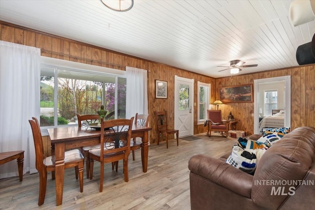 living room featuring healthy amount of natural light, wooden walls, ceiling fan, and light wood-style floors