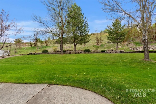view of grassy yard