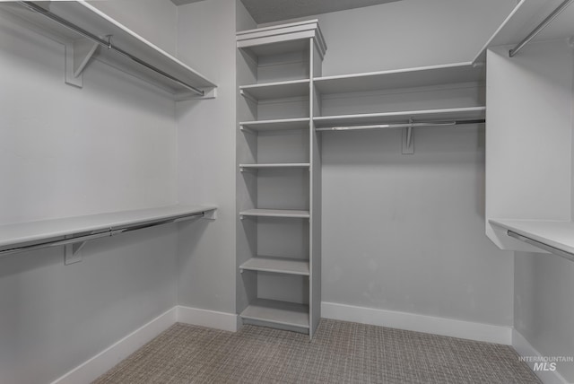 spacious closet featuring carpet floors