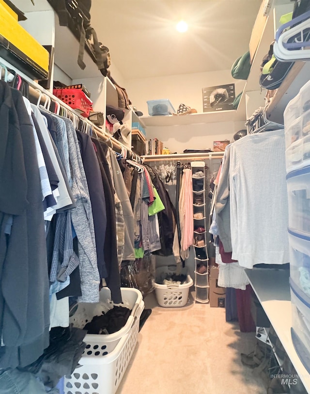 1937 E Vandal Dr, Moscow, ID 83843 - walk in closet with carpet