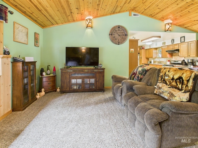 4474 Council Cuprum Rd, Council, ID 83612 - living area with vaulted ceiling, light colored carpet, and wooden ceiling