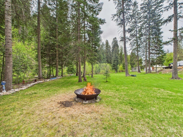 4474 Council Cuprum Rd, Council, ID 83612 - view of grassy yard with an outdoor fire pit
