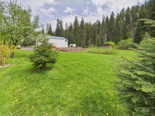 4474 Council Cuprum Rd, Council, ID 83612 - view of grassy yard with a forest view