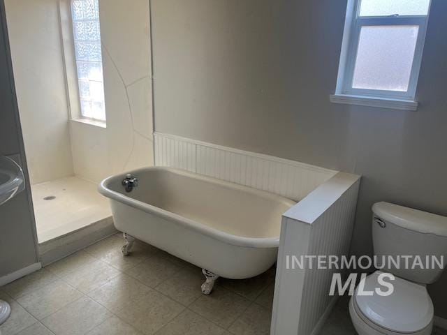 bathroom featuring toilet, a healthy amount of sunlight, and a bathing tub