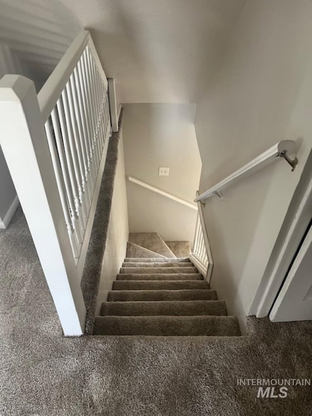 staircase with carpet floors