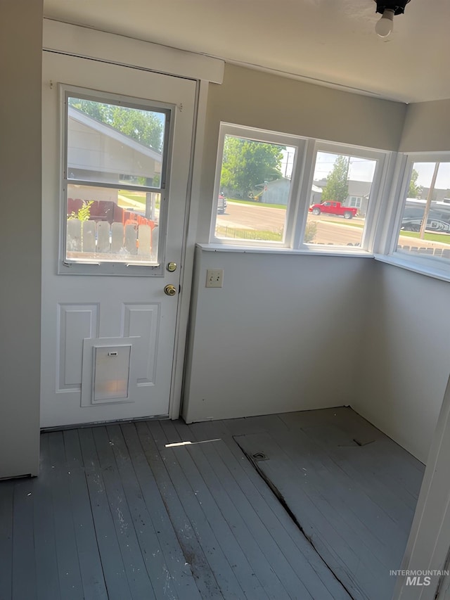 doorway to outside featuring dark hardwood / wood-style floors and plenty of natural light