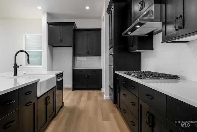 2386 N Leatherwood Ave, Star, ID 83669 - kitchen featuring stainless steel appliances, under cabinet range hood, light wood-style floors, a sink, and light countertops