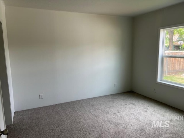 carpeted spare room with plenty of natural light