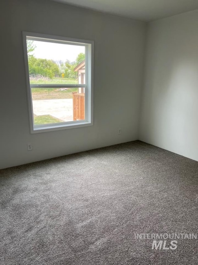 carpeted spare room featuring plenty of natural light