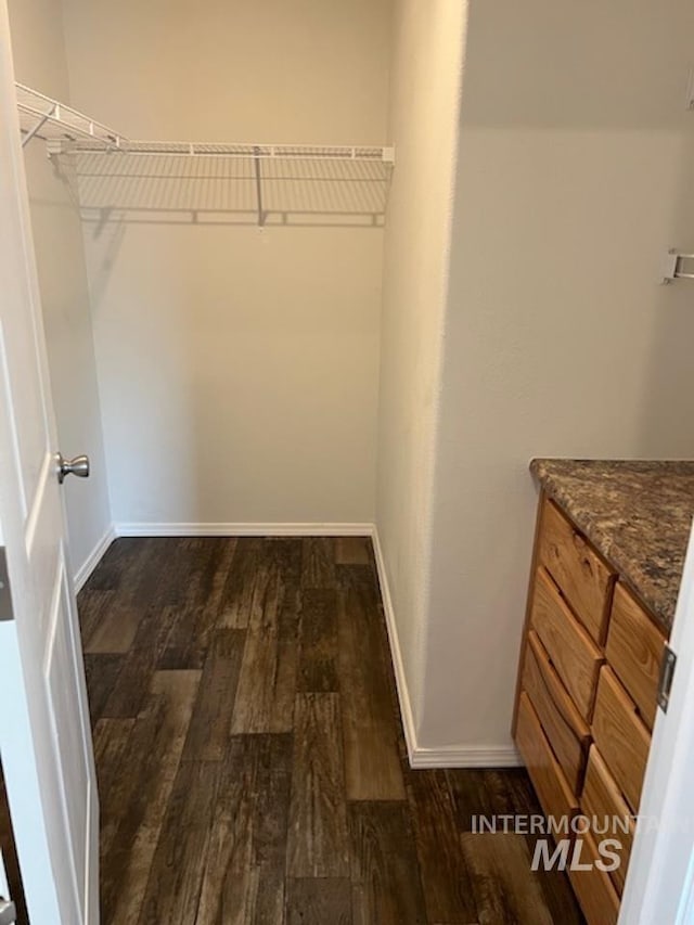 spacious closet with dark wood-type flooring
