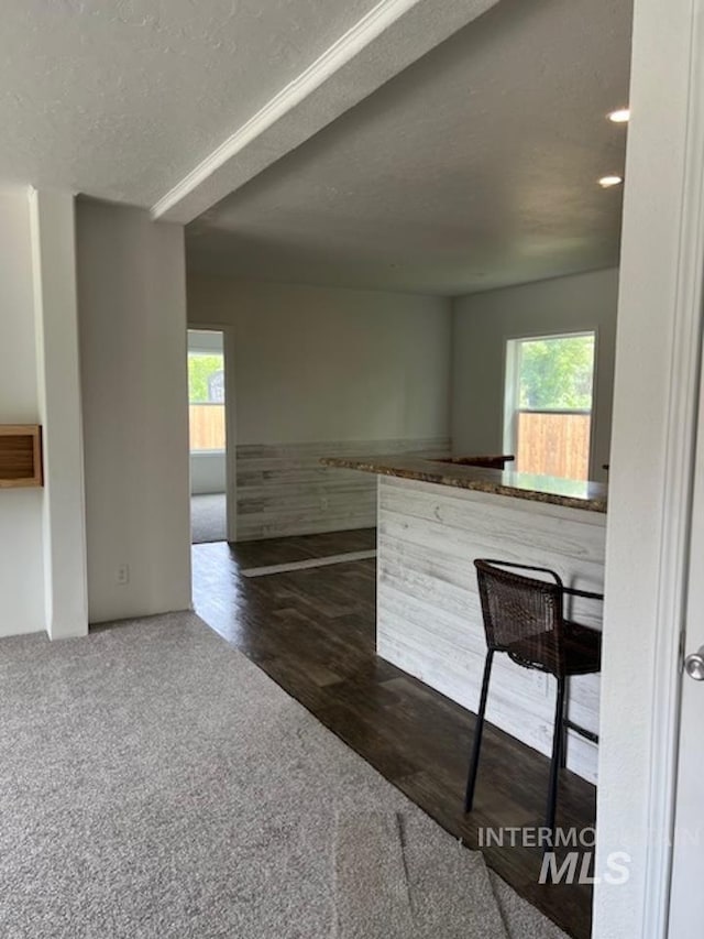 bar area with healthy amount of natural light, dark colored carpet, and a textured ceiling