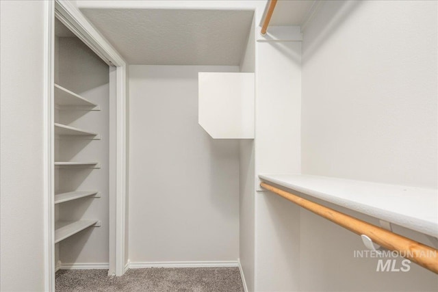 spacious closet featuring carpet floors