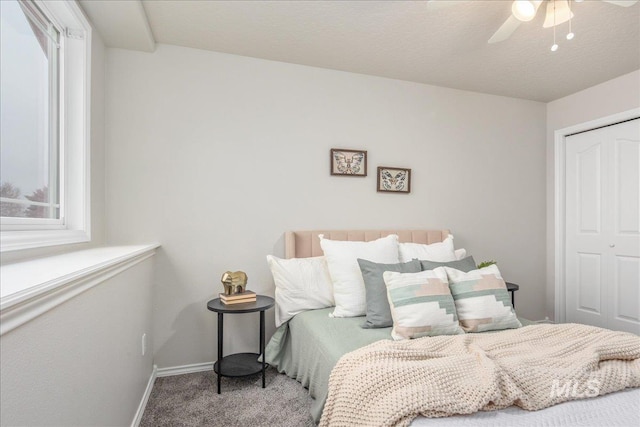 bedroom featuring ceiling fan, a closet, carpet flooring, and multiple windows