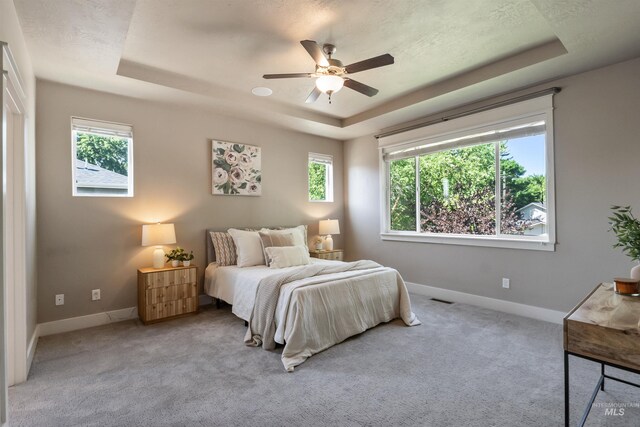 1014 E Carter St, Boise, ID 83706 - carpeted bedroom with a tray ceiling, multiple windows, and ceiling fan