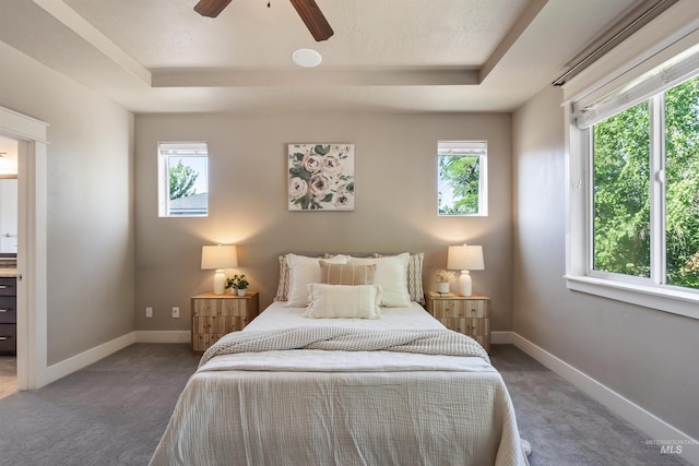 1014 E Carter St, Boise, ID 83706 - carpeted bedroom with a raised ceiling, multiple windows, and ceiling fan