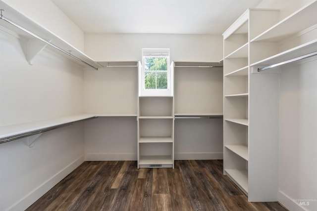 1014 E Carter St, Boise, ID 83706 - spacious closet with dark wood-type flooring