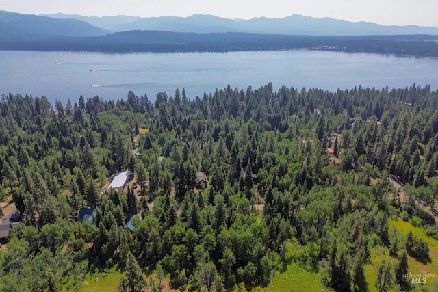 1725 Whitebark Rd, Mccall, ID 83638