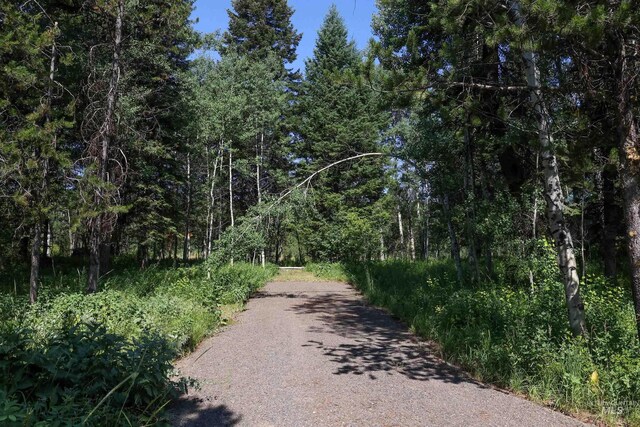 1725 Whitebark Rd, Mccall, ID 83638