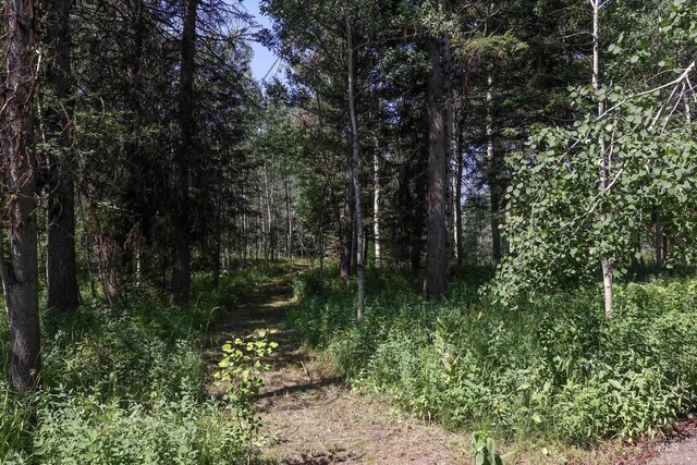 1725 Whitebark Rd, Mccall, ID 83638