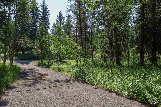 1725 Whitebark Rd, Mccall, ID 83638