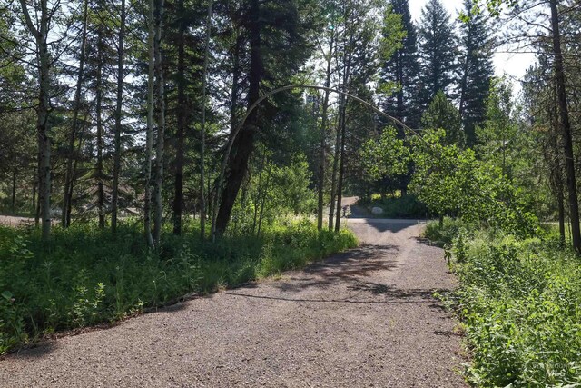 1725 Whitebark Rd, Mccall, ID 83638