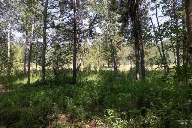 1725 Whitebark Rd, Mccall, ID 83638