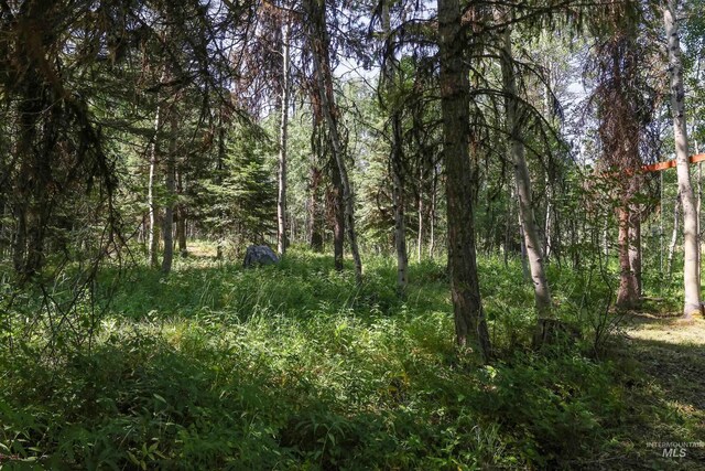 1725 Whitebark Rd, Mccall, ID 83638