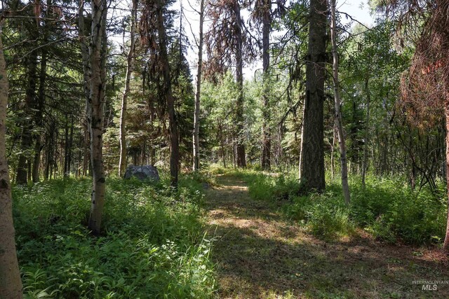 1725 Whitebark Rd, Mccall, ID 83638