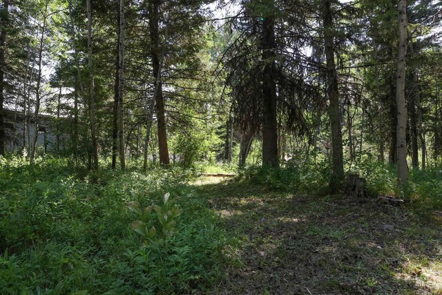 1725 Whitebark Rd, Mccall, ID 83638