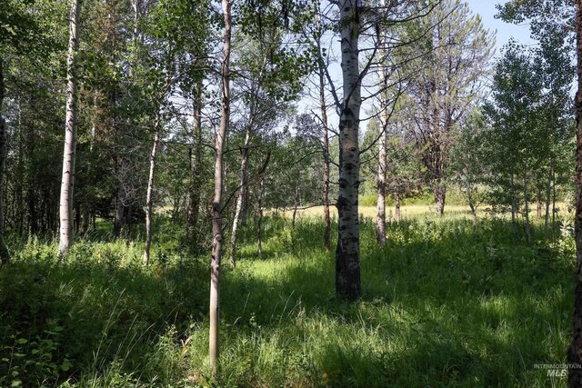 1725 Whitebark Rd, Mccall, ID 83638