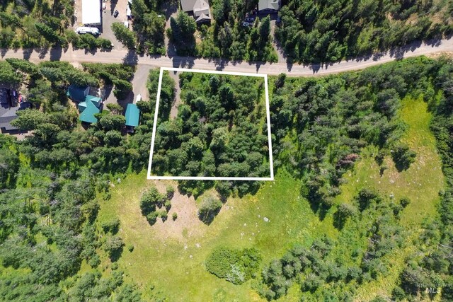 1725 Whitebark Rd, Mccall, ID 83638