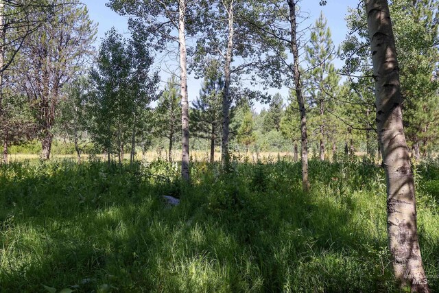 1725 Whitebark Rd, Mccall, ID 83638