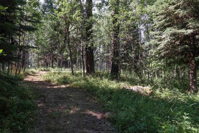 1725 Whitebark Rd, Mccall, ID 83638