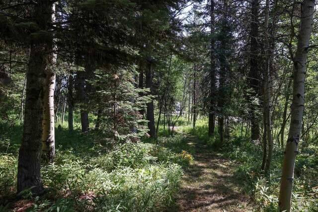 1725 Whitebark Rd, Mccall, ID 83638