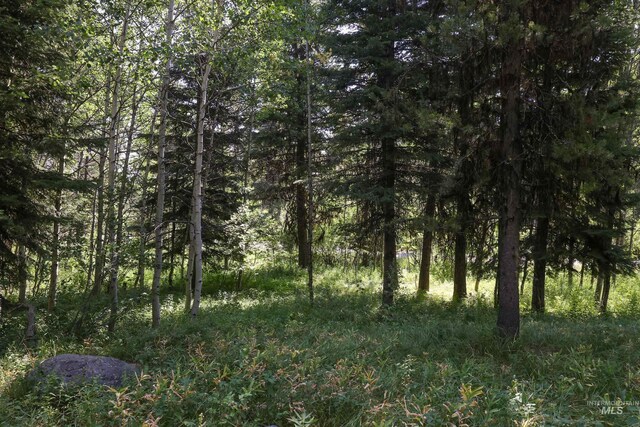 1725 Whitebark Rd, Mccall, ID 83638