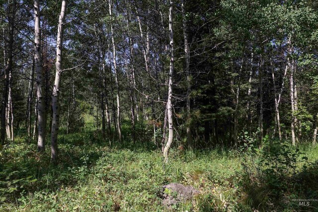 1725 Whitebark Rd, Mccall, ID 83638