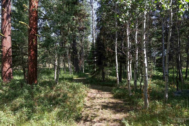 1725 Whitebark Rd, Mccall, ID 83638
