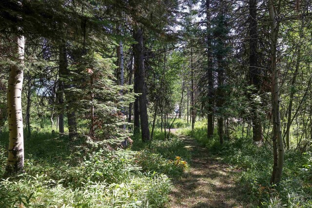 1725 Whitebark Rd, Mccall, ID 83638
