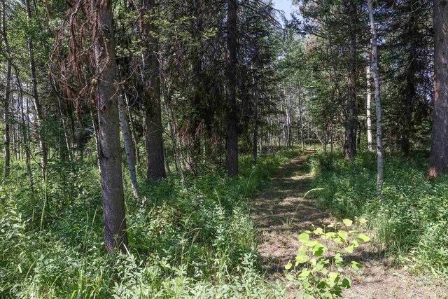 1725 Whitebark Rd, Mccall, ID 83638