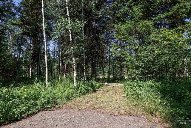1725 Whitebark Rd, Mccall, ID 83638